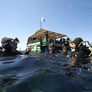 PLONGÉE PE12 | PE12